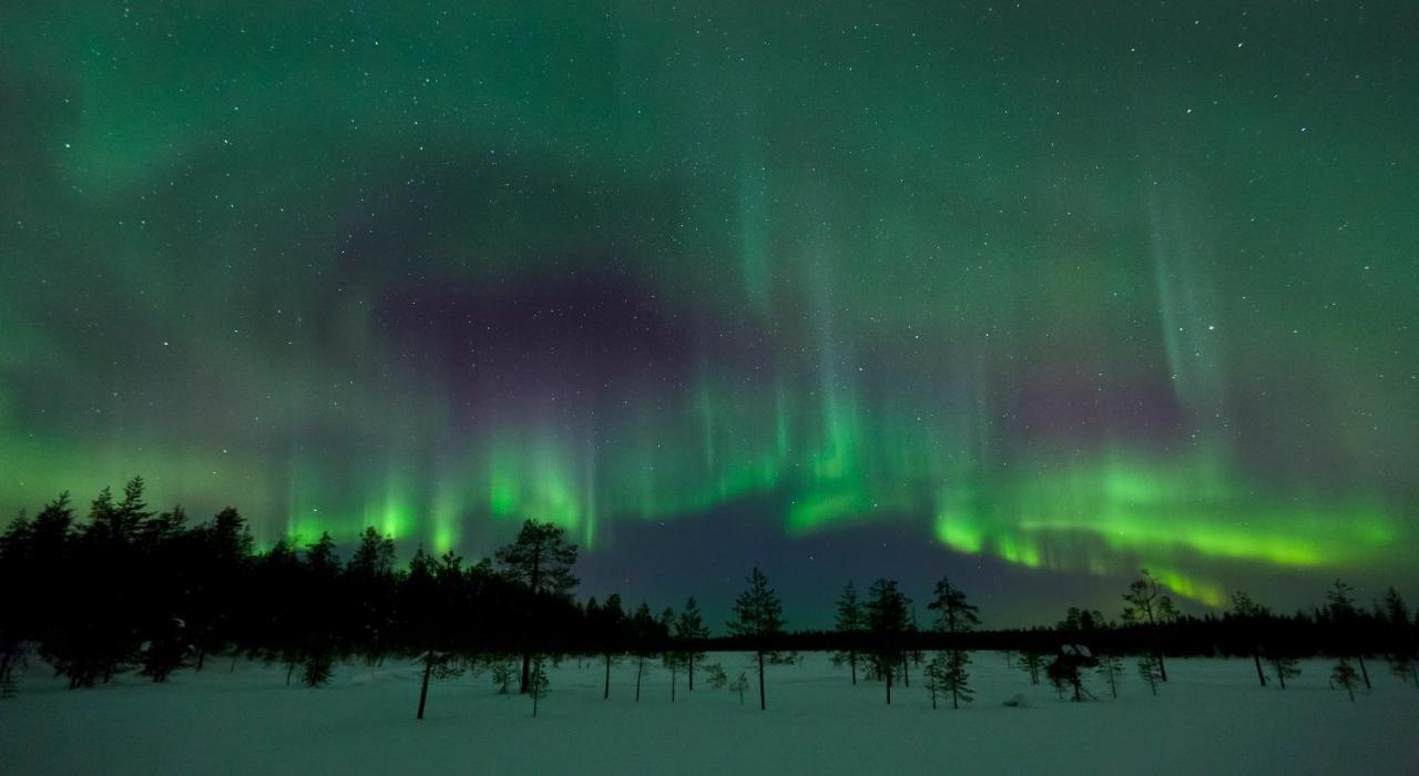Taljatie Apartments Rovaniemi Dış mekan fotoğraf